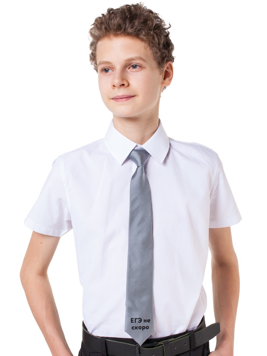 Фото галстук для мальчика 100611_OAB
